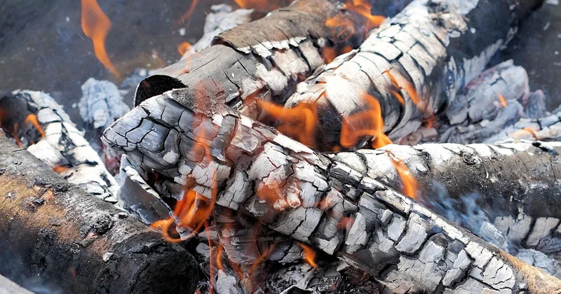 Que faire griller au feu de bois sans se tromper
