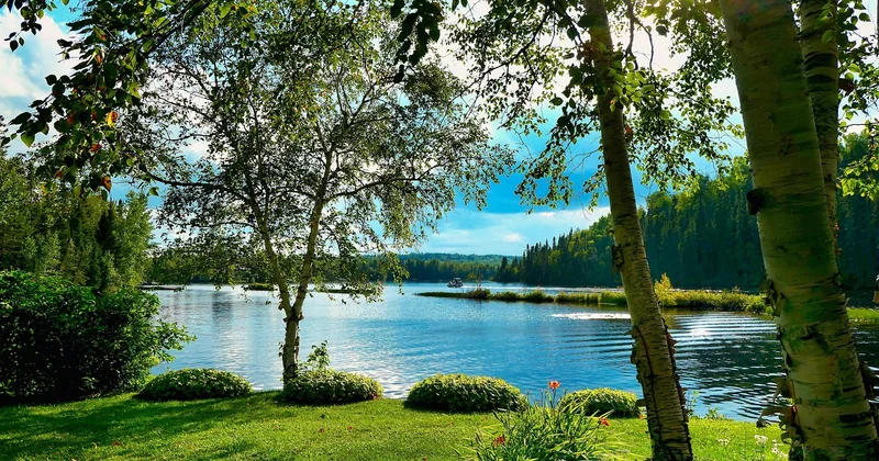 Météo et terrain : la forêt qui se retourne contre vous